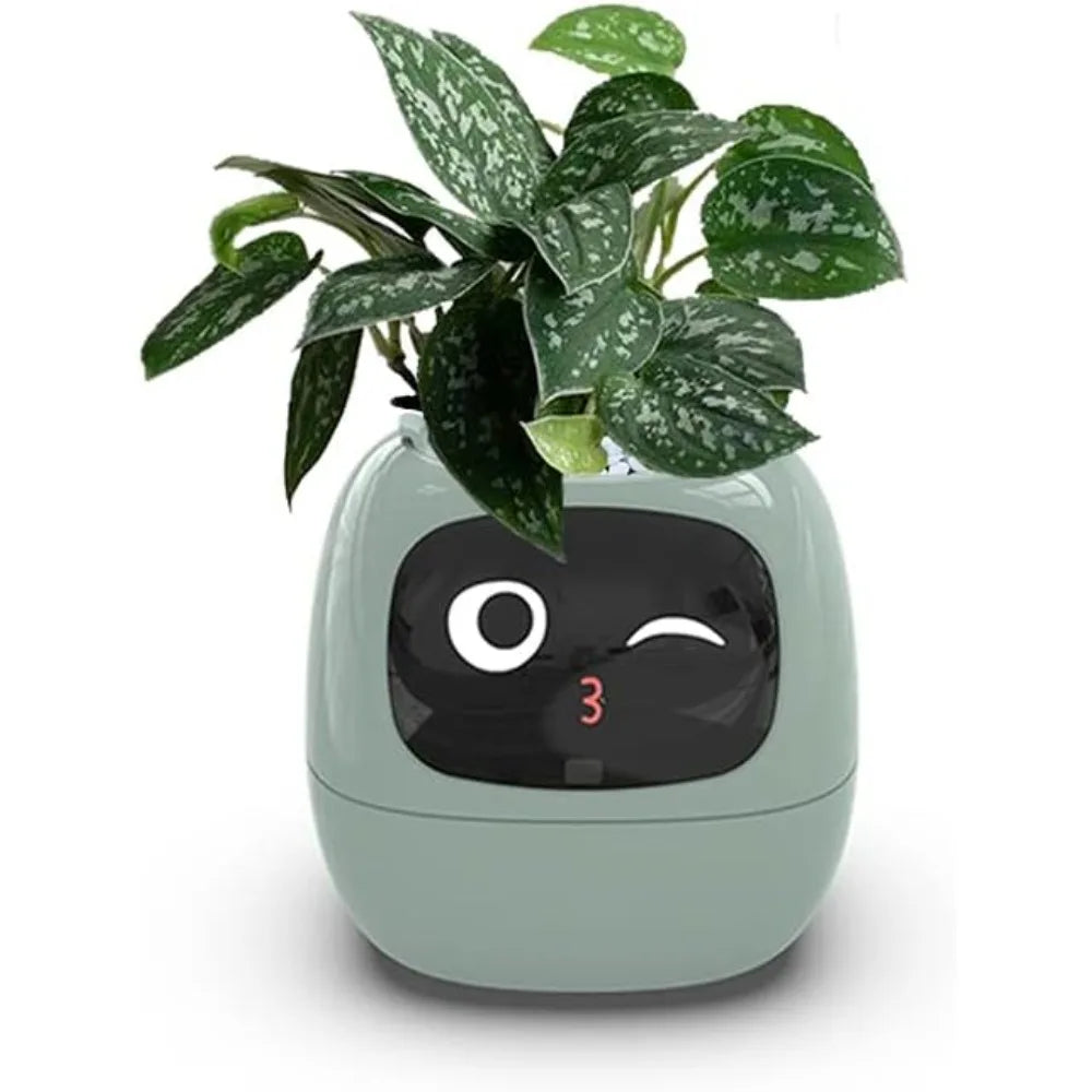 Smart Flower Pots